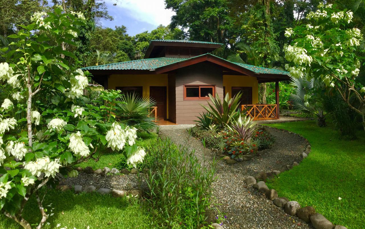 Oasi Apartment Cahuita Exterior photo